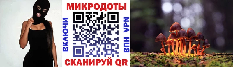 купить наркотики цена  Игарка  OMG ССЫЛКА  Галлюциногенные грибы Psilocybine cubensis 